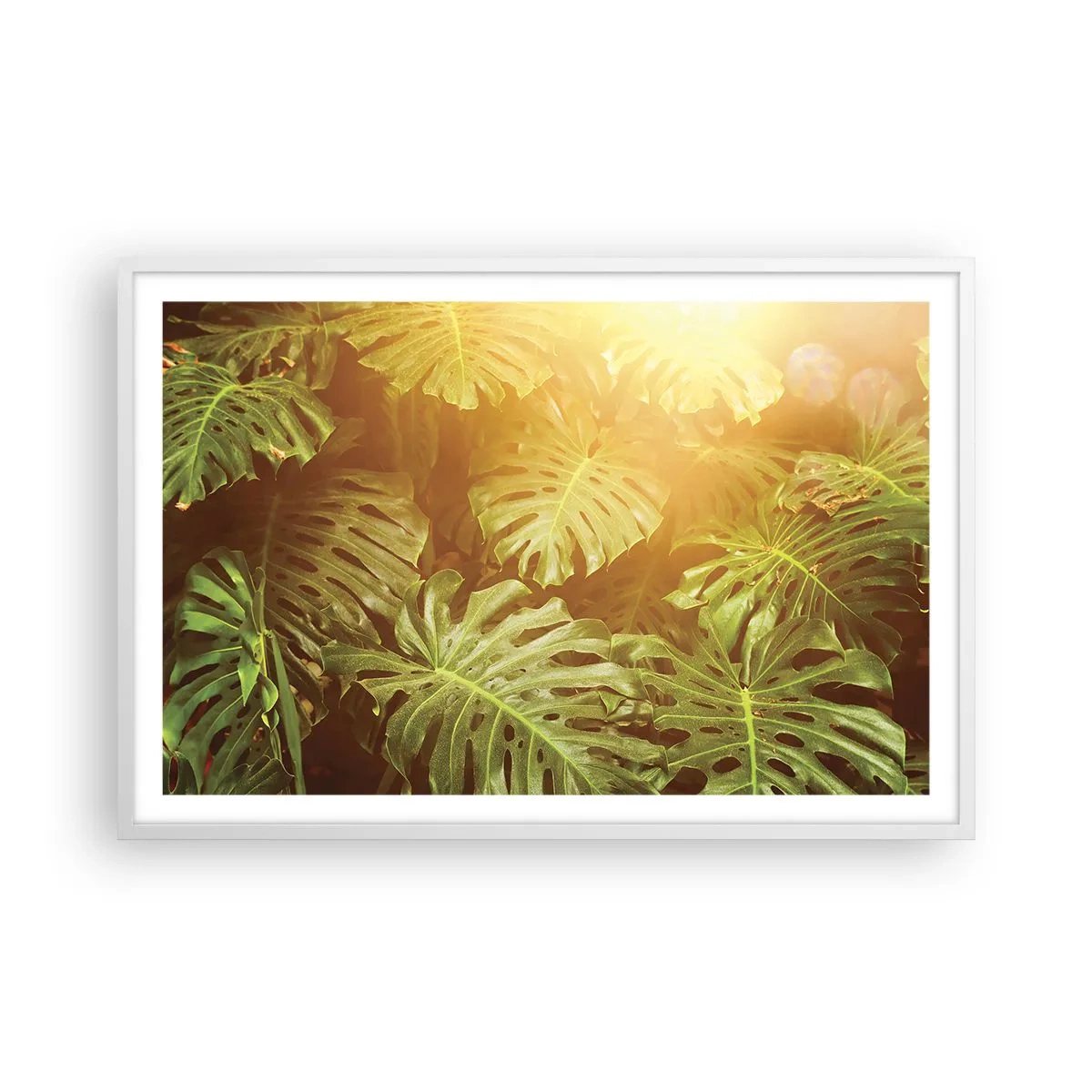 Poster în ramă albă - Poftiți în verde - 91x61 cm