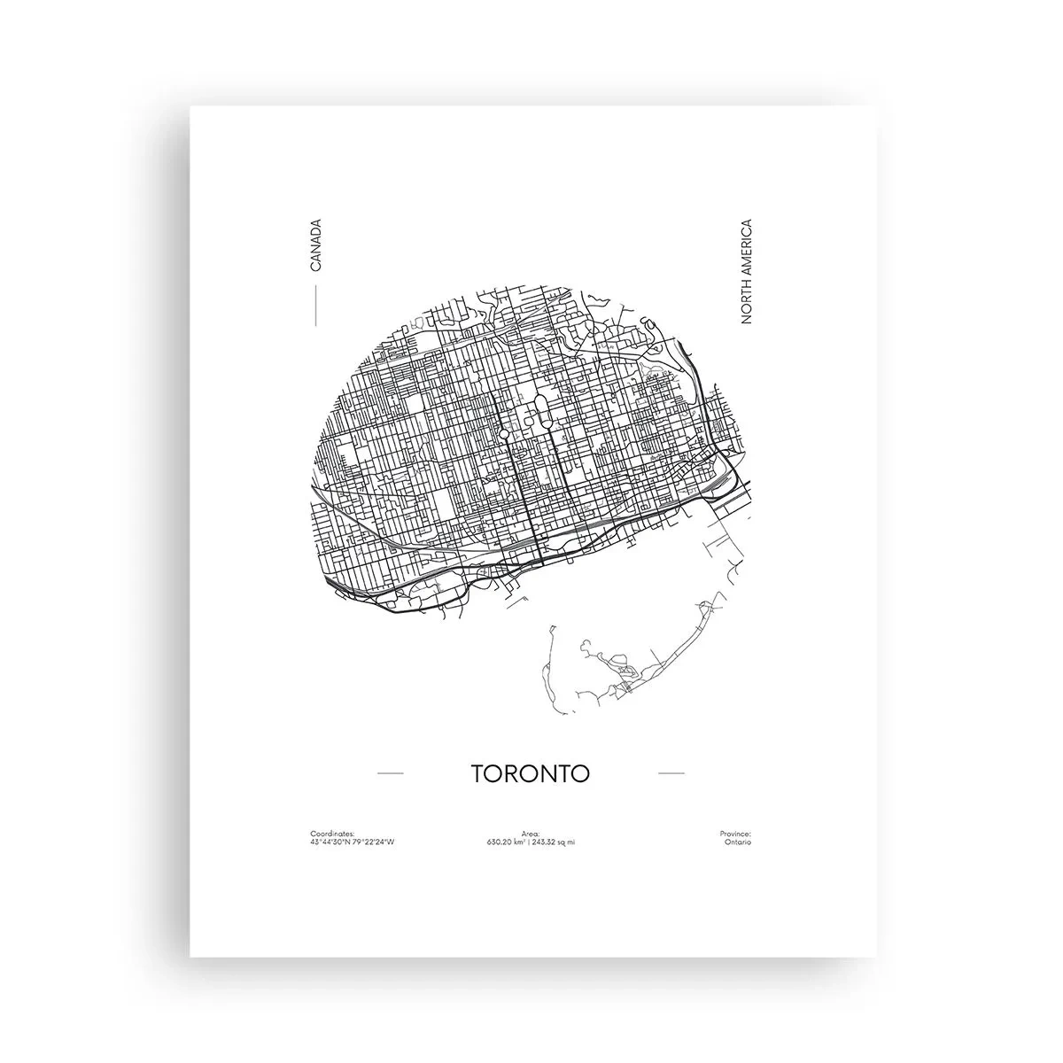 Poster - Anatomia Toronto - 40x50 cm