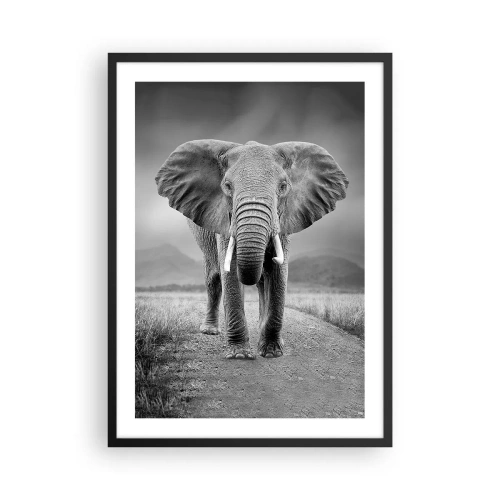 Poster în ramă neagră - Un elefant pe fundalul unui peisaj african în alb și negru - 50x70cm - Gazda te salută - Decorațiune modernă pentru perete pentru living și dormitor ARTTOR