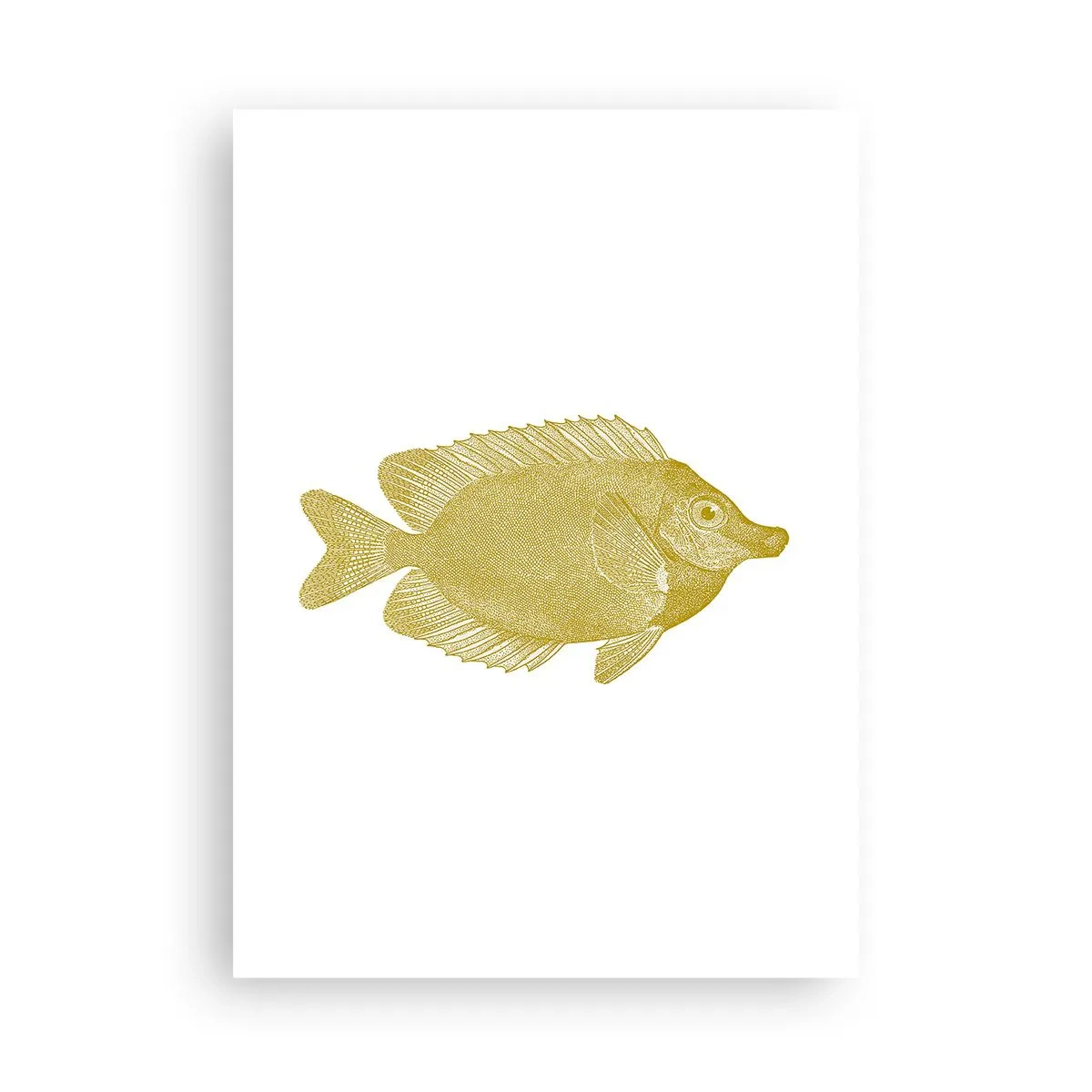 Poster - Pește și atât - 50x70 cm