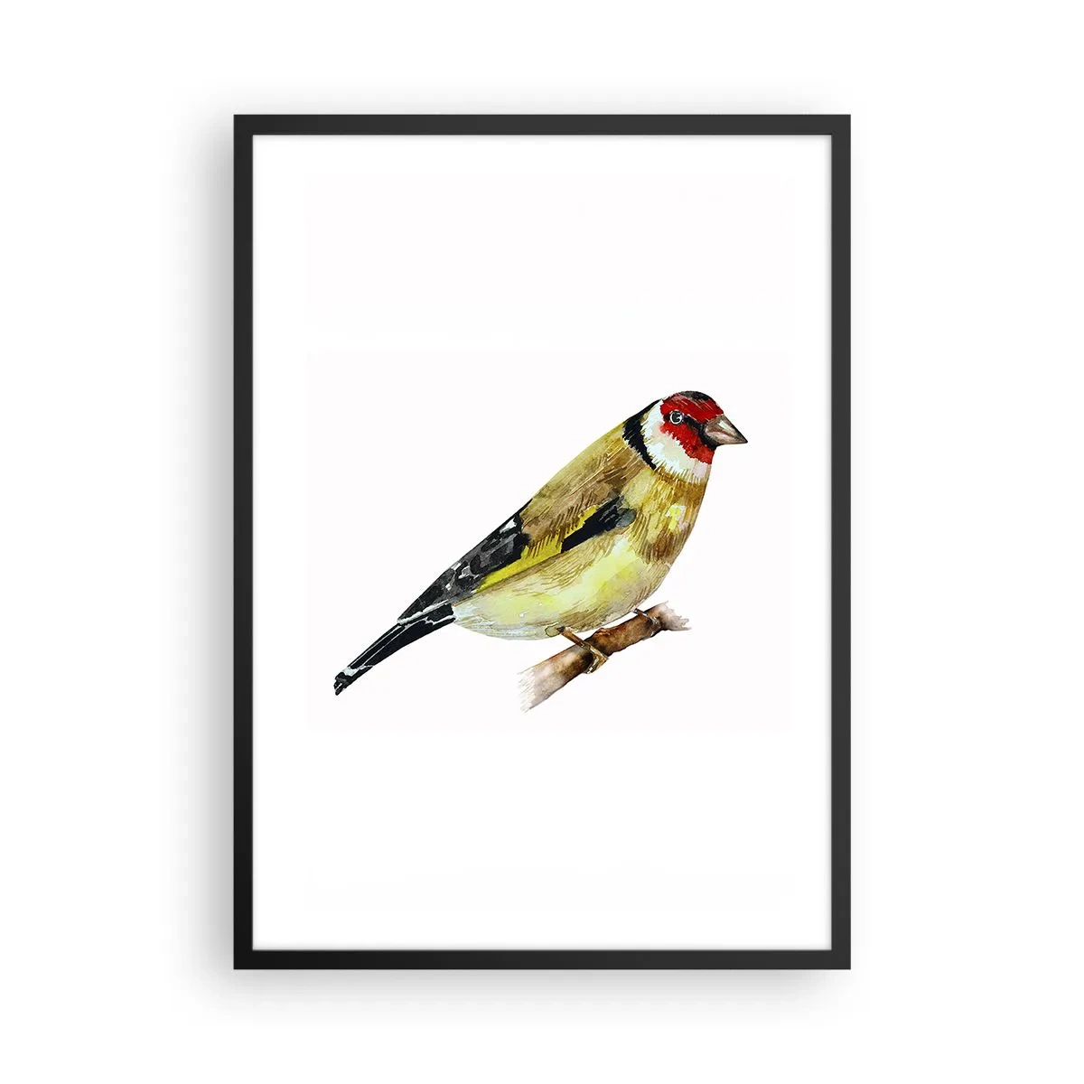 Poster în ramă neagră - Cintezele pe o creangă în stil acuarelă - 50x70cm - Portret de pasăre - Decorațiune modernă pentru perete pentru living și dormitor ARTTOR