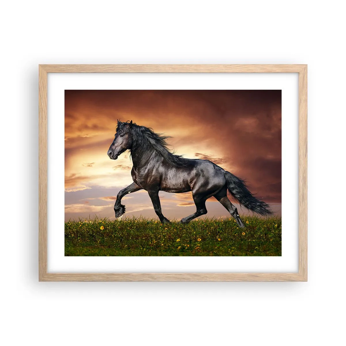 Poster în ramă de stejar deschis - Prințul negru - 50x40 cm