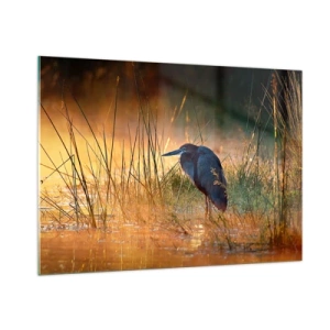 Tablou pe sticlă - Lasă-mă în pace cu aceste fotografii - 100x70 cm