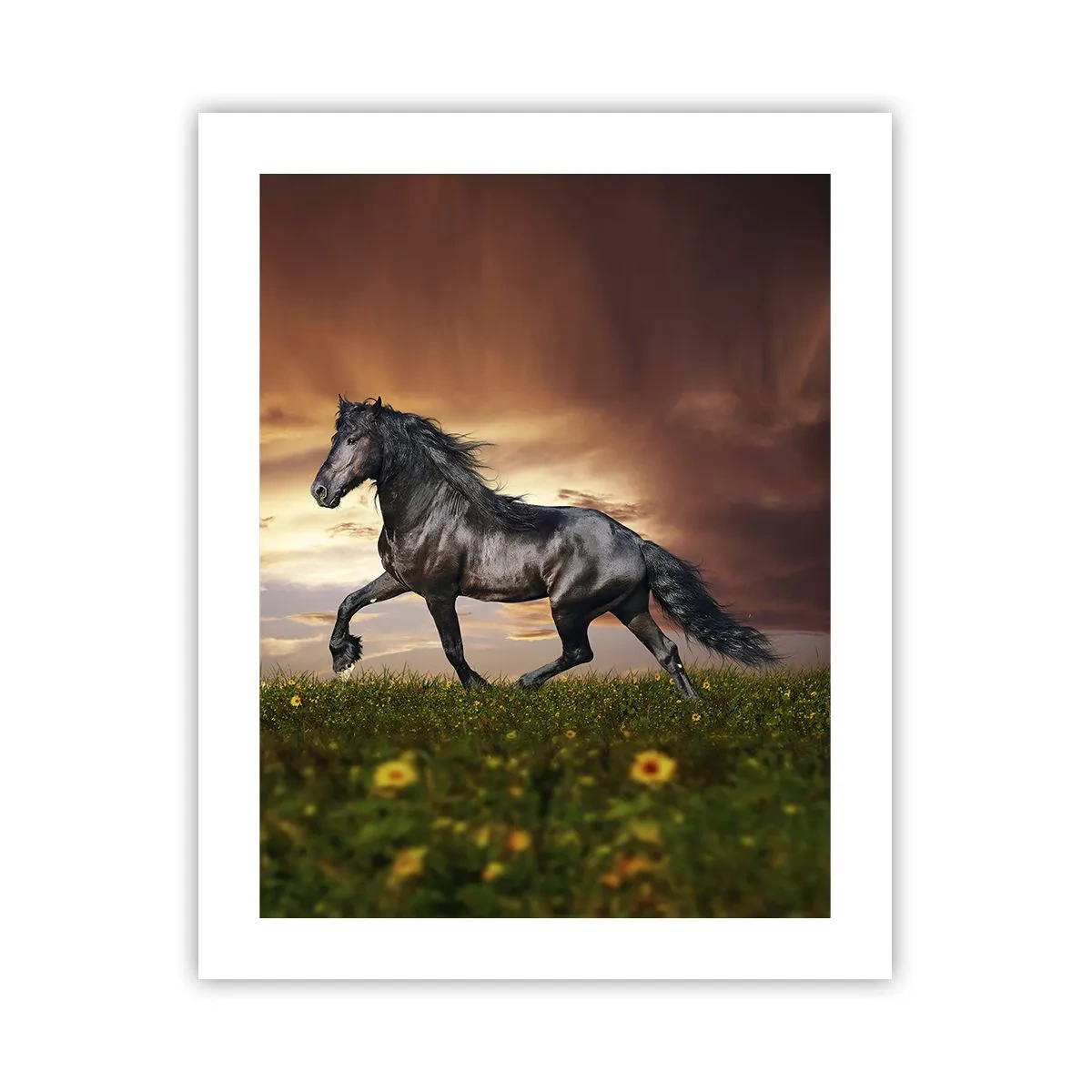 Poster - Prințul negru - 40x50 cm