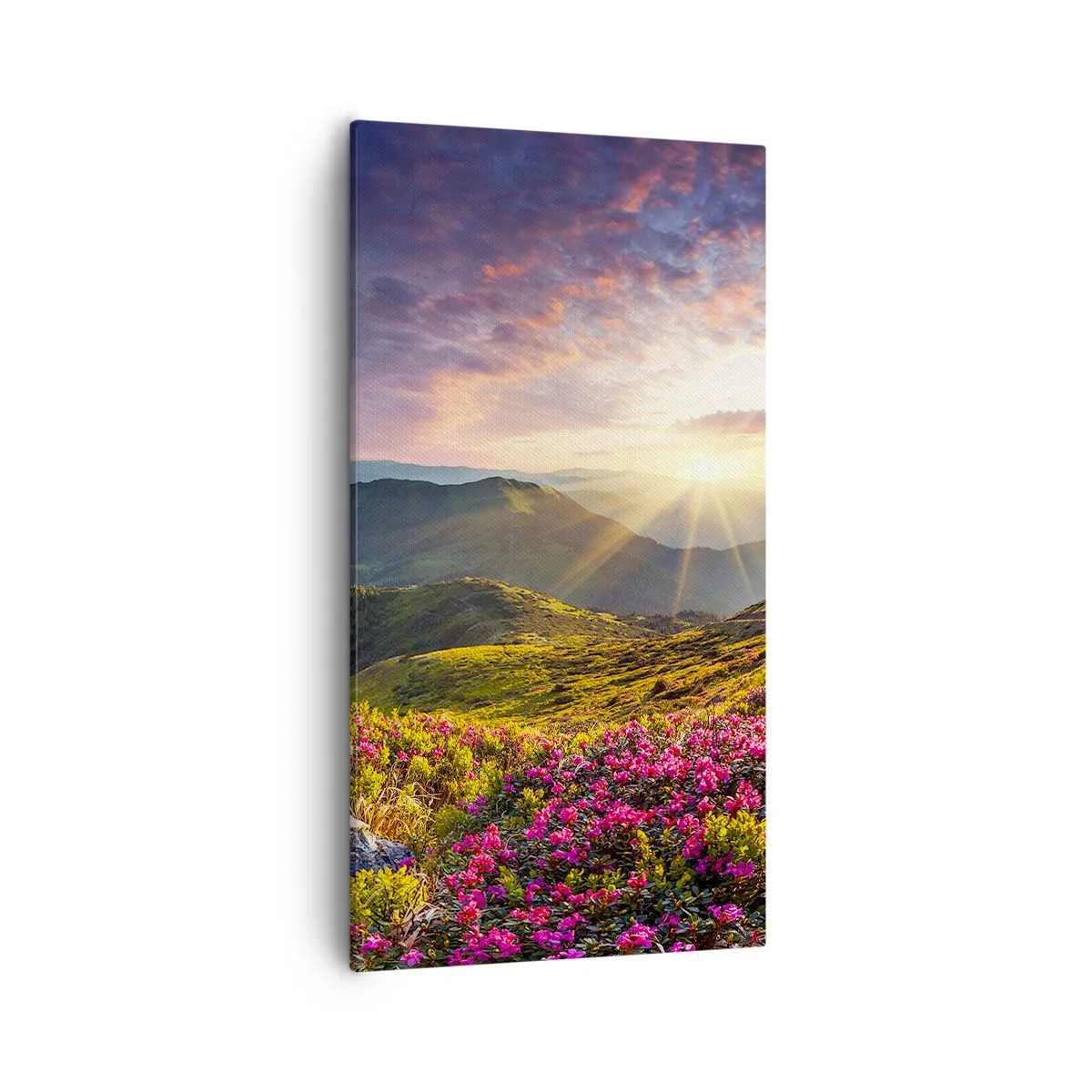 Tablou pe pânză - Prospețimea unei dimineți de munte - 55x100 cm