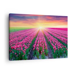 Tablou pe pânză Canvas - Un câmp de lalele la apus - 70x50cm - Ferma de frumusețe - Decorațiune modernă pentru perete pentru living și dormitor ARTTOR