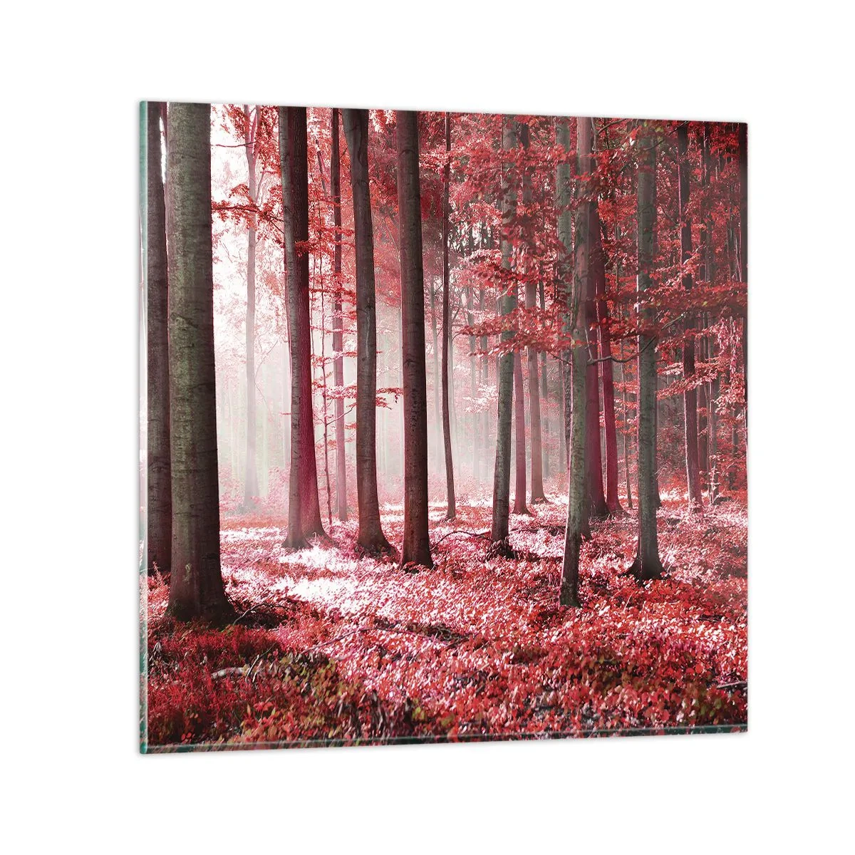 Tablou pe sticlă - Roșie este la fel de frumoasă - 50x50 cm