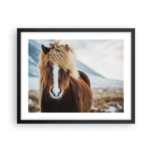 Poster în ramă neagră - Simțiți libertatea? - 50x40 cm