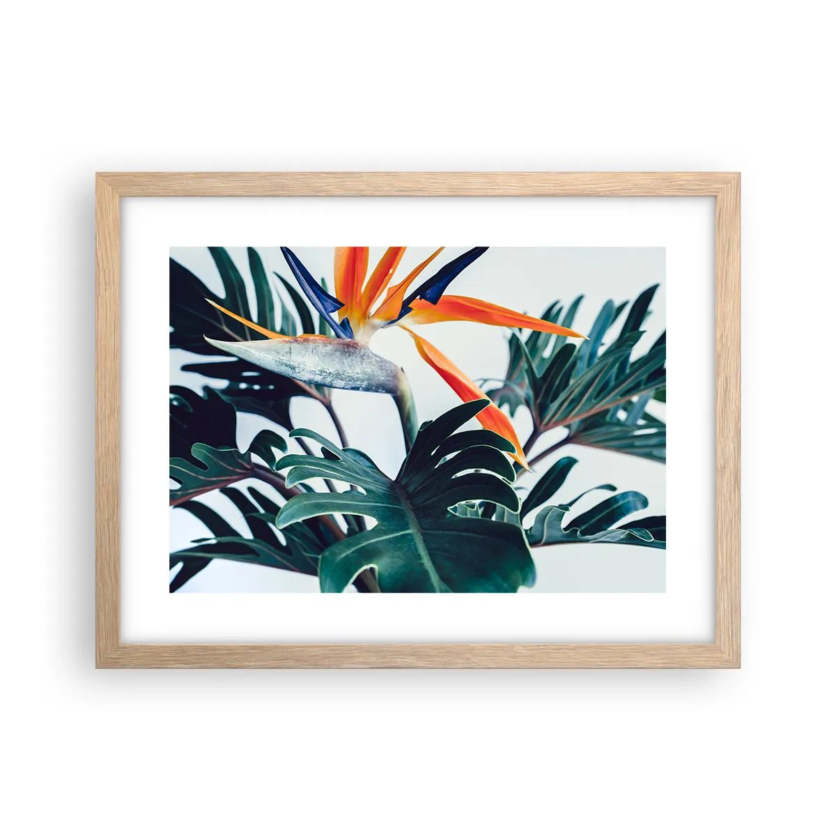 Poster în ramă de stejar deschis - Tufiș sau pasăre? - 40x30 cm