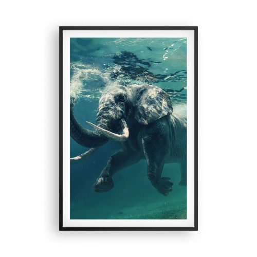 Poster în ramă neagră - Tuturor le place să înoate - 61x91 cm