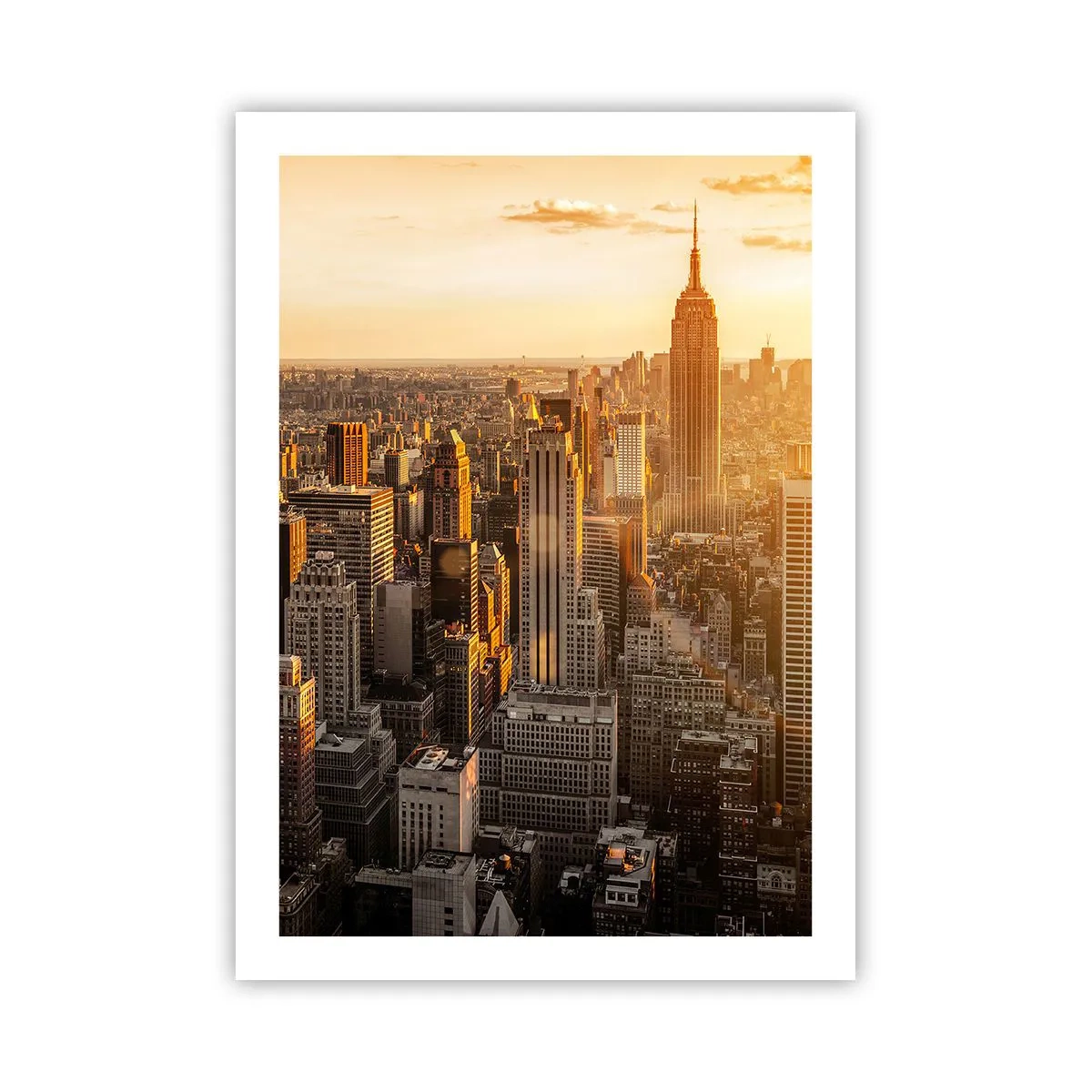 Poster - Crescând la soare - 50x70 cm