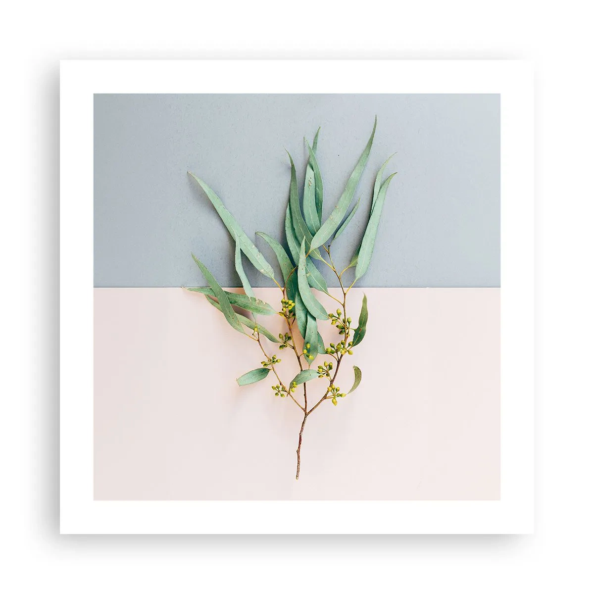 Poster - Subtilitate pastelată - 50x50 cm