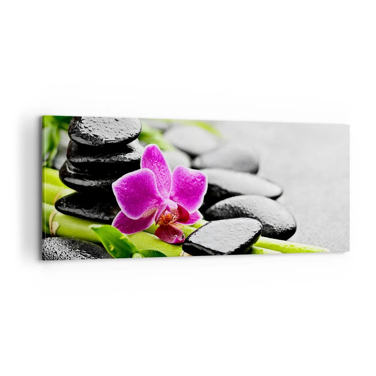 Tablou pe pânză - Într-un echilibru pașnic - 100x40 cm