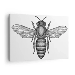 Tablou pe pânză Canvas - Un motiv de albină de desene animate pe fundal alb, în stil minimalist. - 70x50cm - Portret de insectă - Decorațiune modernă pentru perete pentru living și dormitor ARTTOR