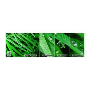Mostră tapet Premium Sand - Joacă de-a verdele - Natură, Iarbă verde, Grădină - 100x30 cm