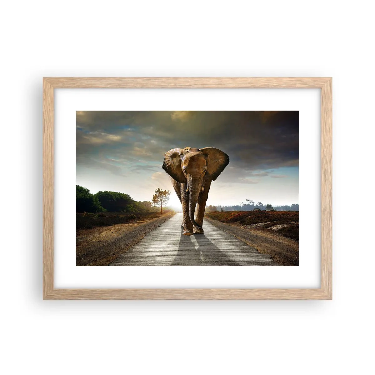 Poster în ramă de stejar deschis - Și-a pierdut cipicii... - 40x30 cm