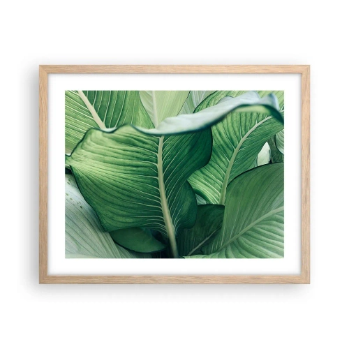 Poster în ramă de stejar deschis - Viață intensă în verde - 50x40 cm