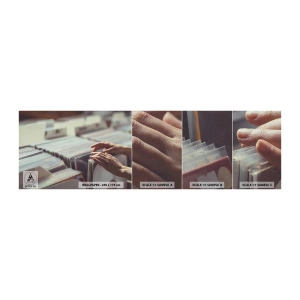 Mostră tapet Premium Sand - În căutarea emoției - Vinil, Muzică, Magazin de muzica - 100x30 cm