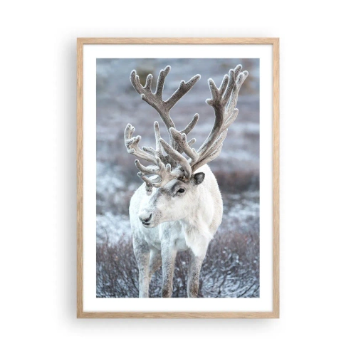 Poster în ramă de stejar deschis - Portret la soare - 50x70 cm