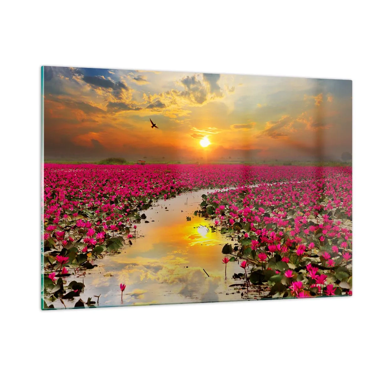 Tablou pe sticlă - Viața secretă a lacului - 120x80 cm