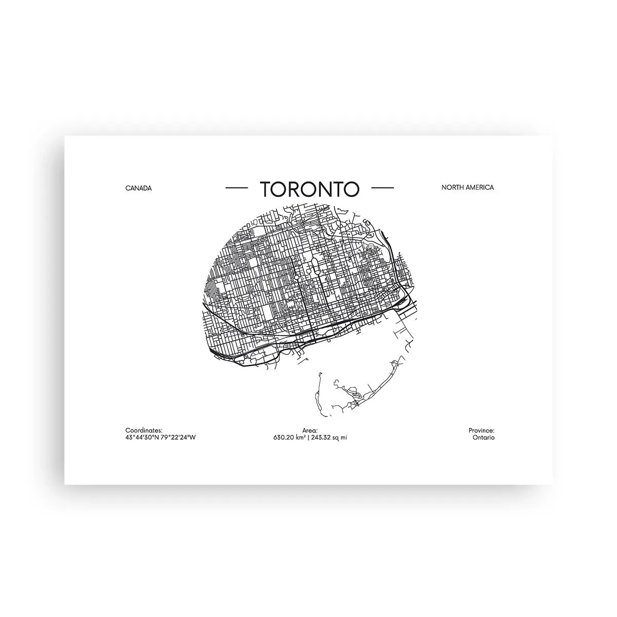 Poster - Anatomia Toronto - 70x50 cm