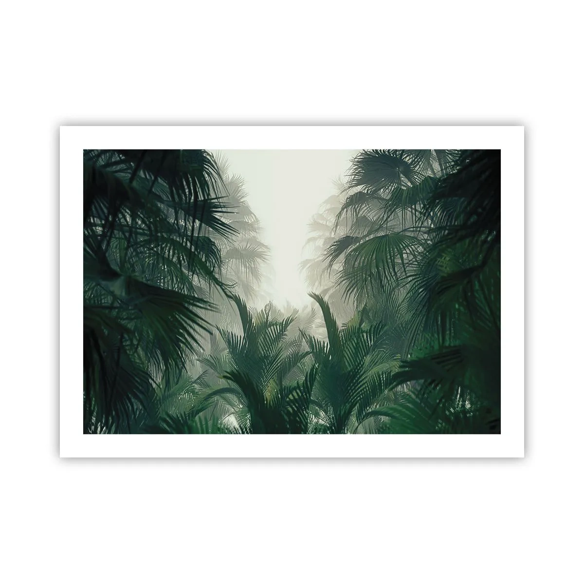 Poster - Mister tropical - 70x50 cm