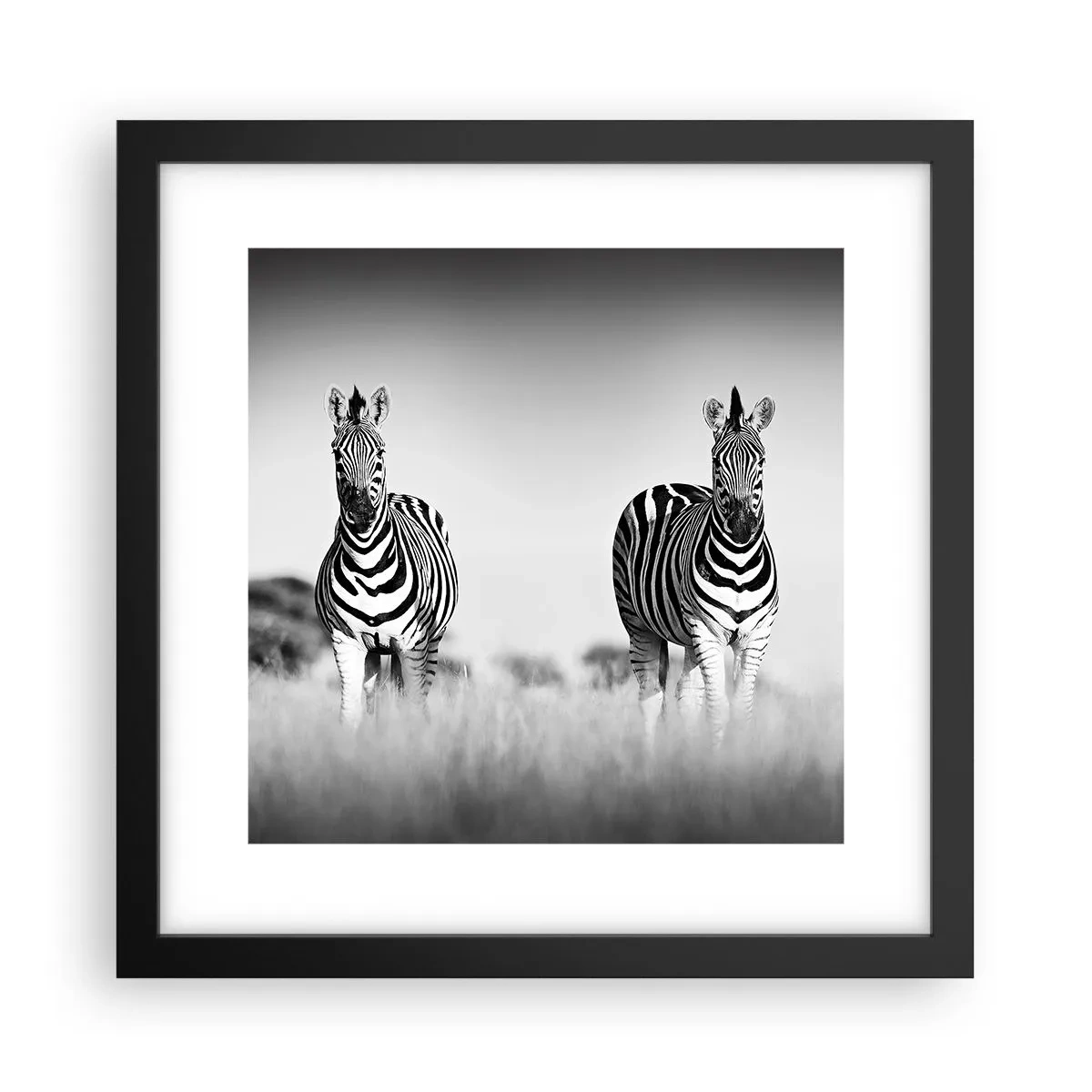 Poster în ramă neagră - Și totuși lumea e albă și neagră - 30x30 cm