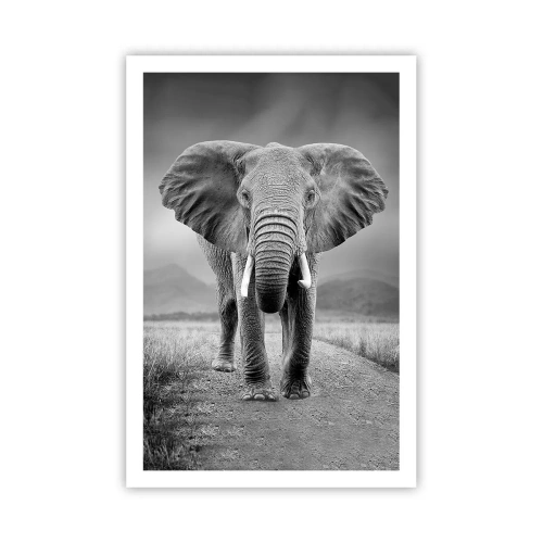 Poster - Gazda te salută - 61x91 cm