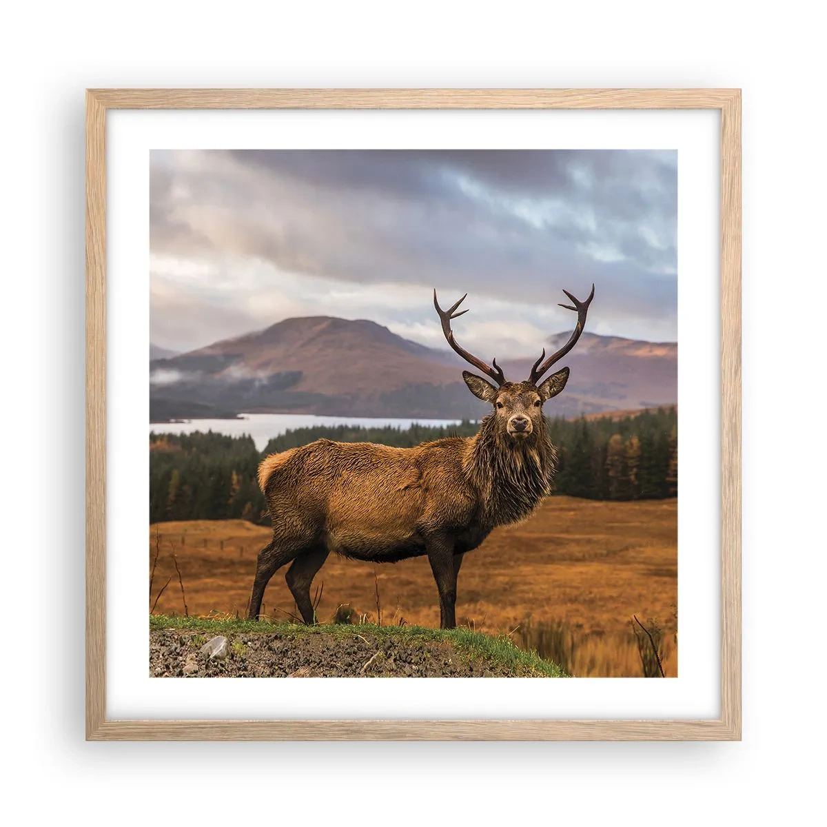 Poster în ramă de stejar deschis - Măreția naturii - 50x50 cm
