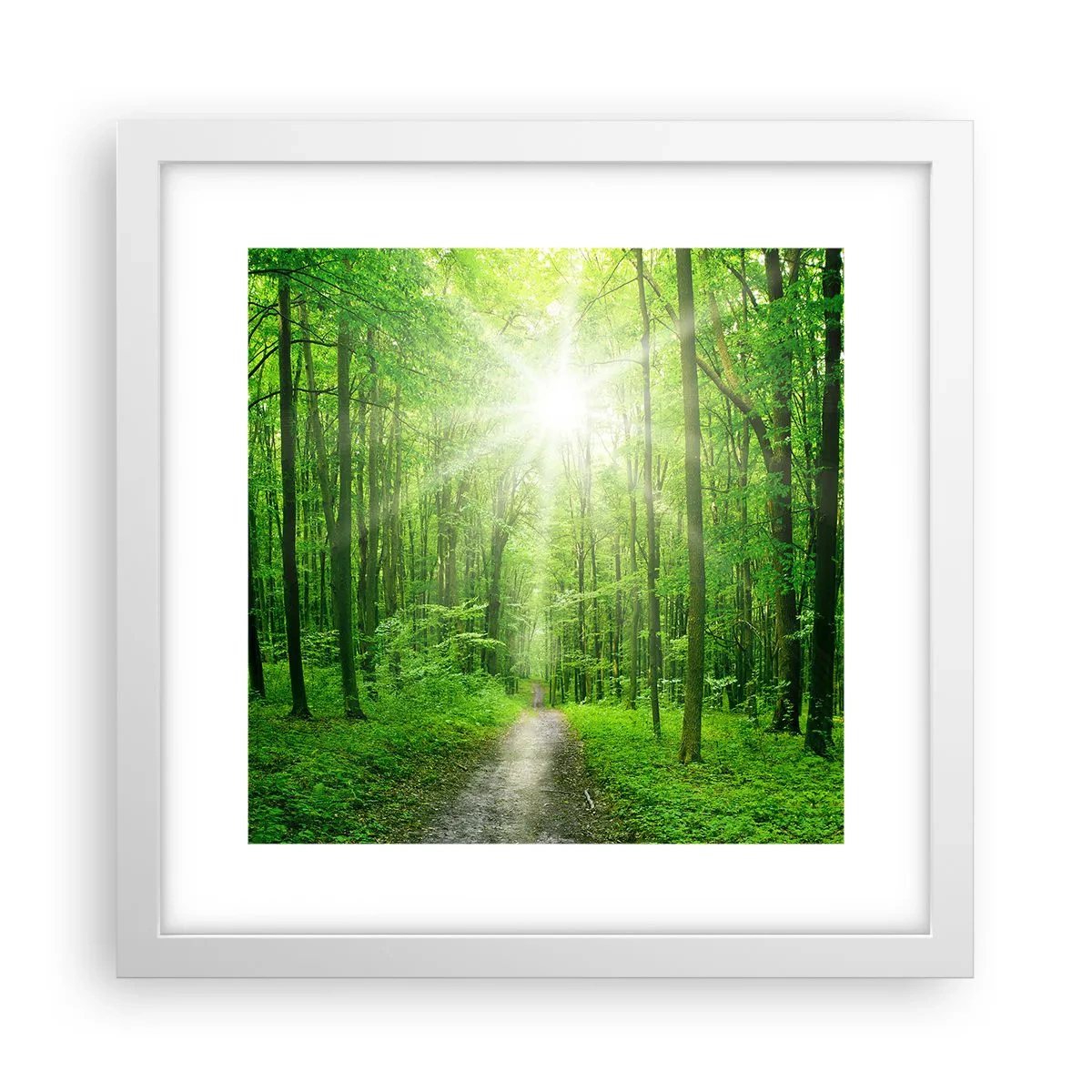 Poster în ramă albă - Catedrala verde - 30x30 cm