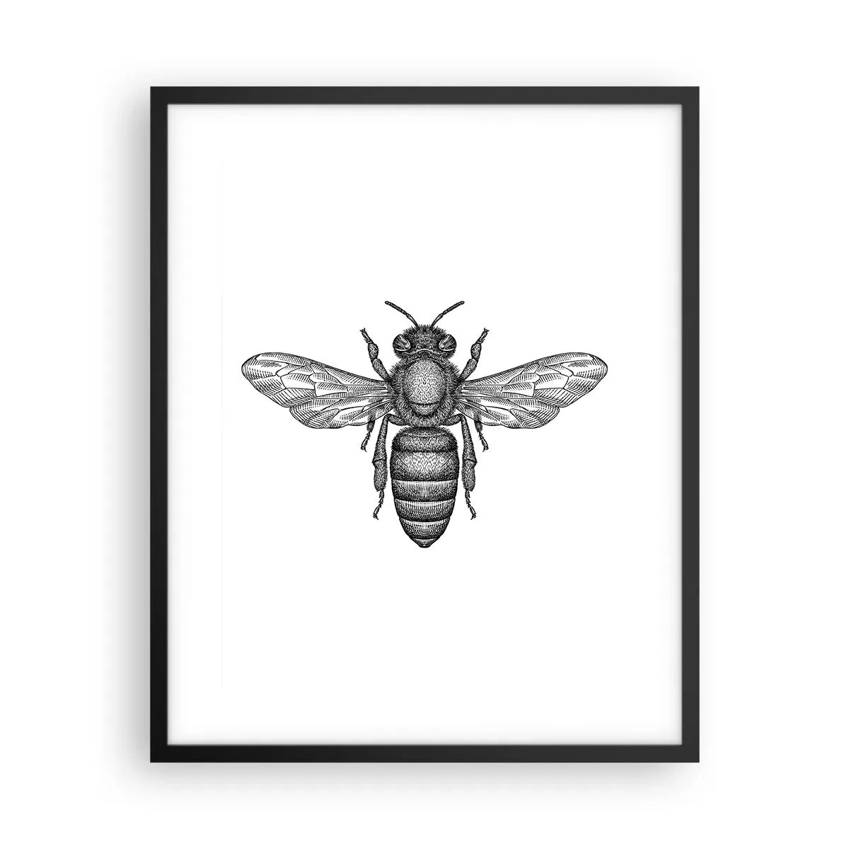 Poster în ramă neagră - Portret de insectă - 40x50 cm
