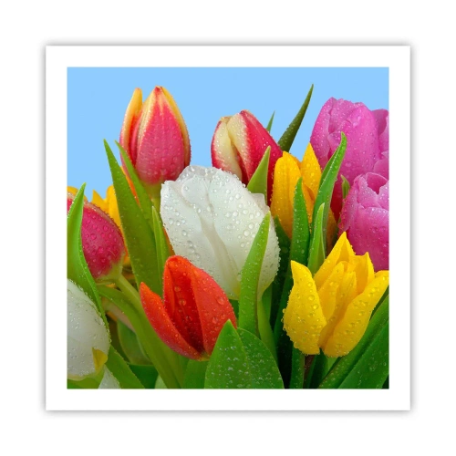 Poster - Un curcubeu floral în picături de rouă - 60x60 cm