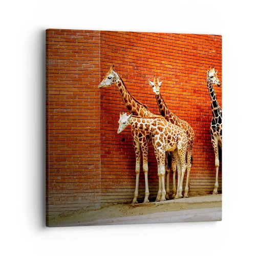 Tablou pe pânză - Vezi vreun salcâm? - 40x40 cm