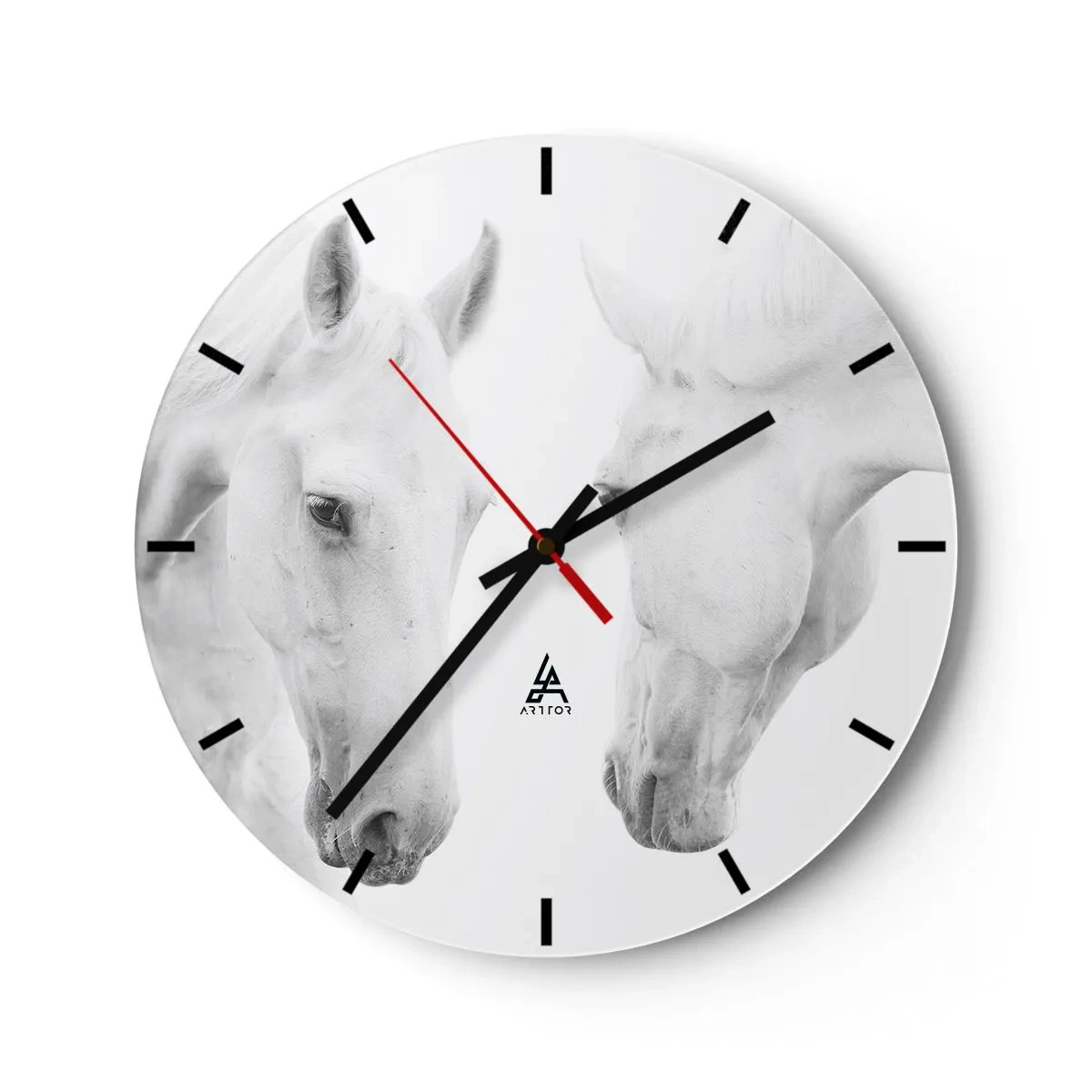 Ceas de perete - Ceas pe sticlă - Doi cai albi stând unul față în față pe un fundal alb - 30x30cm - Este aceasta o prietenie...? - Decorațiune modernă pentru perete pentru living, bucătărie și dormitor ARTTOR
