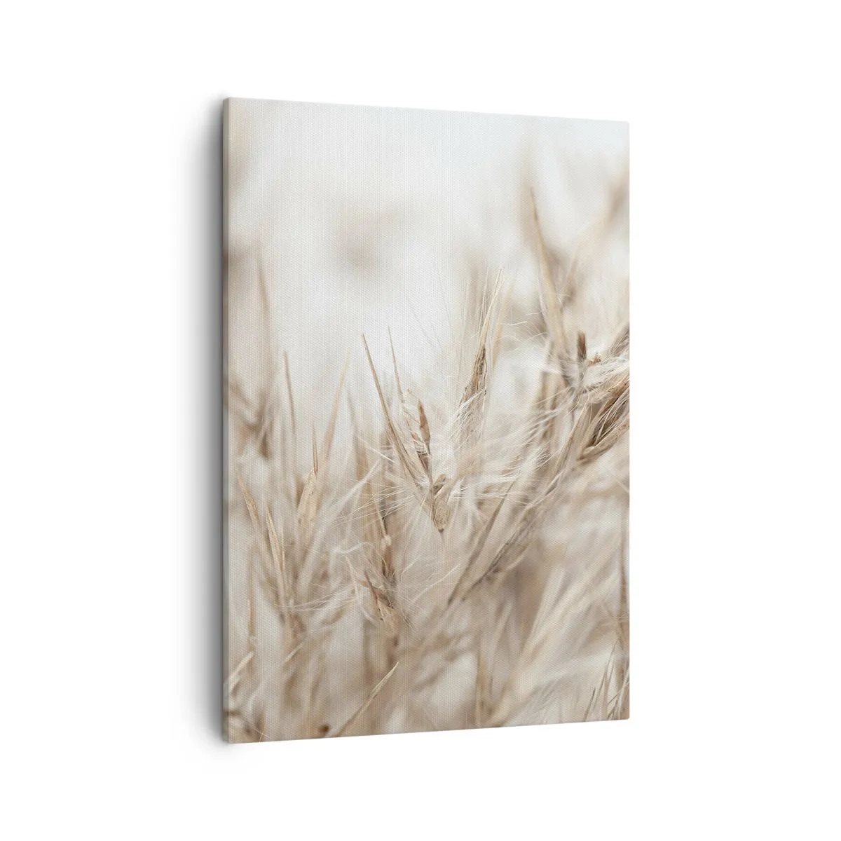 Tablou pe pânză - Pajiște și vânt - 50x70 cm