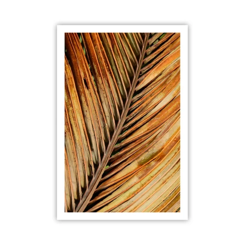 Poster - Aur de nucă de cocos - 61x91 cm