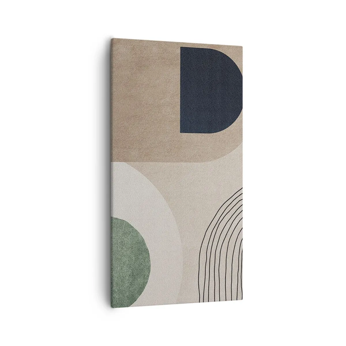 Tablou pe pânză - Blândețea ovalului - 55x100 cm