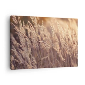 Tablou pe pânză Canvas - Ierburi aurii pe fundalul soarelui apus - 70x50cm - Gata să întâmpine toamna - Decorațiune modernă pentru perete pentru living și dormitor ARTTOR