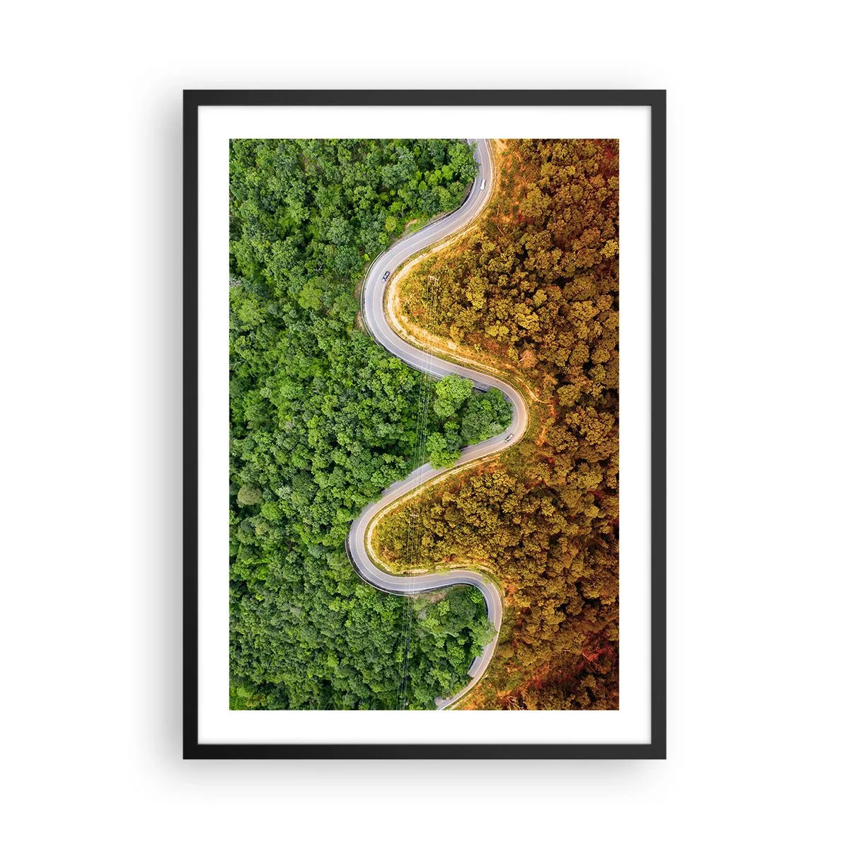 Poster în ramă neagră - Un drum șerpuitor printr-o pădure împărțită în părți verzi și toamnă - 50x70cm - Frontiere și defilee - Decorațiune modernă pentru perete pentru living și dormitor ARTTOR