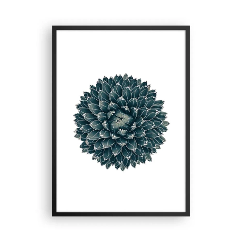 Poster în ramă neagră - Detaliu al unei suculente cu un aranjament simetric de frunze - 50x70cm - Steaua deșertului - Decorațiune modernă pentru perete pentru living și dormitor ARTTOR