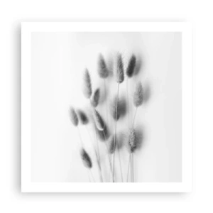 Poster - Pufoșenia ierbii - 60x60 cm
