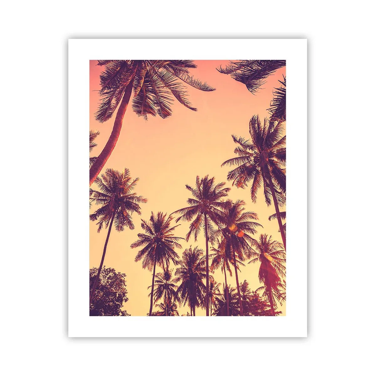 Poster - Variație tropicală - 40x50 cm