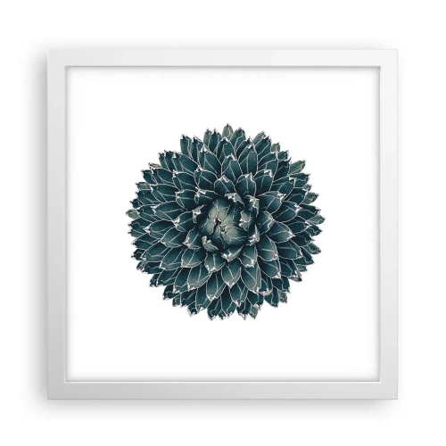 Poster în ramă albă - Steaua deșertului - 30x30 cm