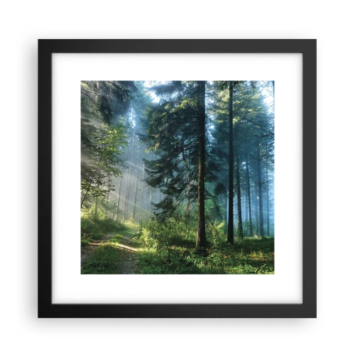 Poster în ramă neagră - Strălucirea de dimineață - 30x30 cm