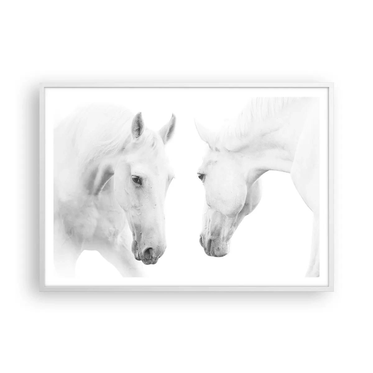 Poster în ramă albă - Este aceasta o prietenie...? - 100x70 cm
