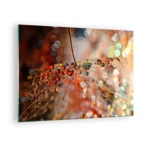 Tablou pe sticlă - Picături de apă pe o pânză de păianjen delicată în lumină bokeh - 70x50cm - Înfipt pe pânza de păianjen - Decorațiune modernă pentru perete pentru living și dormitor ARTTOR