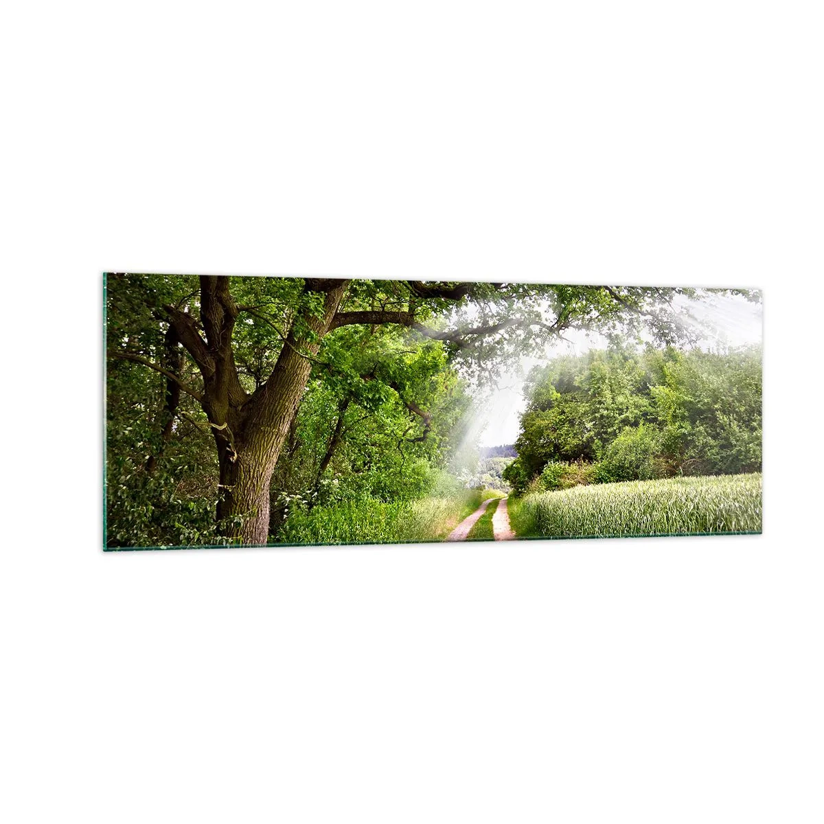 Tablou pe sticlă - Et in Arcadia ego - 140x50 cm