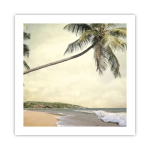 Poster - Vis tropical - 50x50 cm