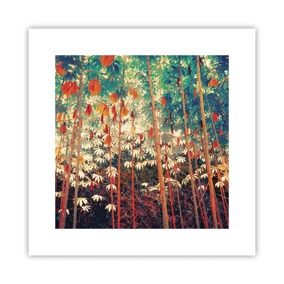 Poster - Viața secretă a frunzelor - 30x30 cm