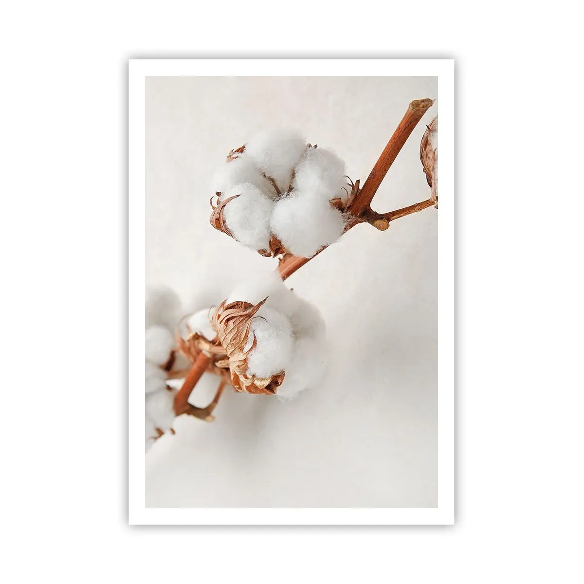 Poster - Numai îmbrățișări - 70x100 cm